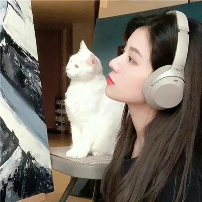 禁宫龙虎斗